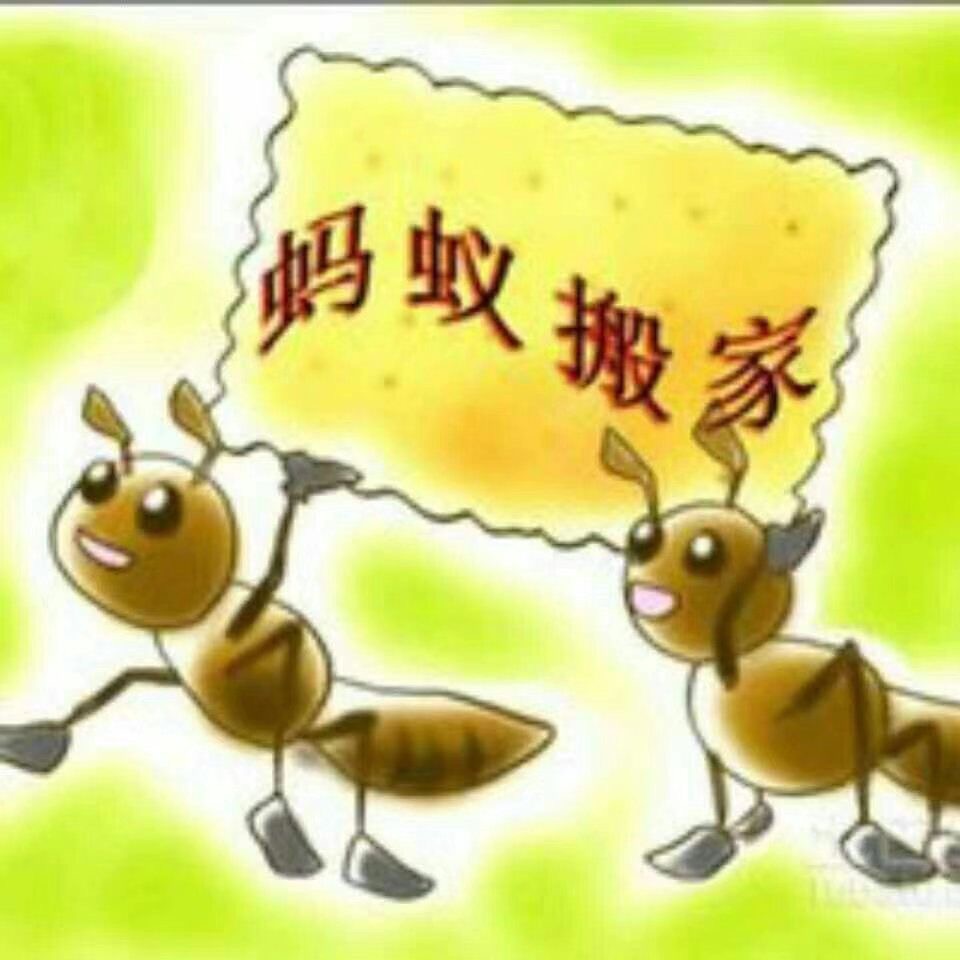 青島搬家行業進入價格戰惡性競争